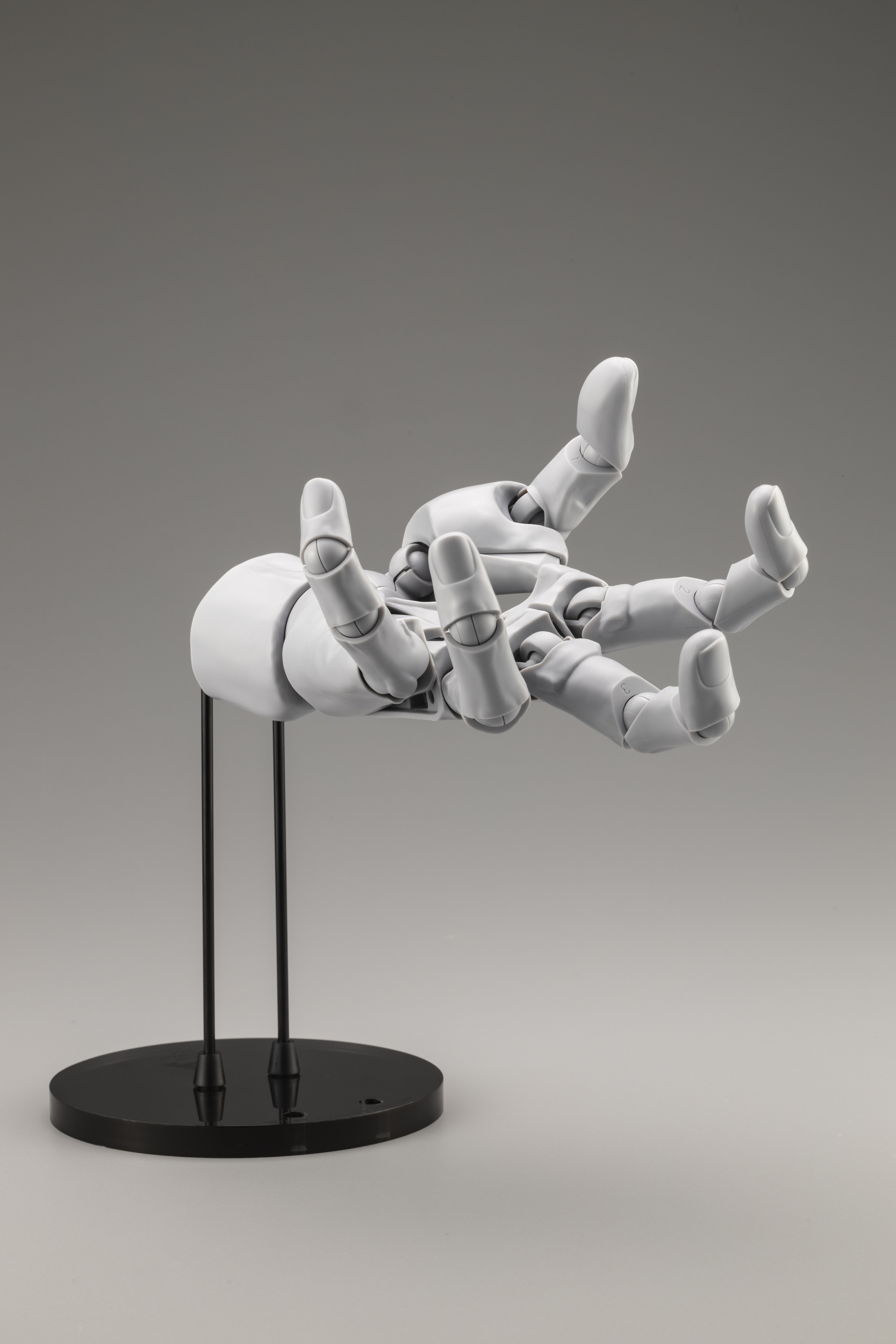 ARTIST SUPPORT ITEM ハンドモデルMEN'S/R